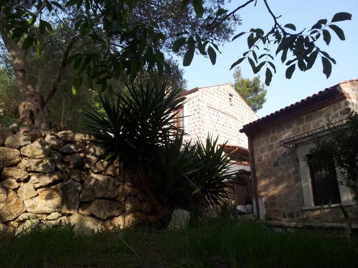 קאסרטה B&B Al Dosello מראה חיצוני תמונה